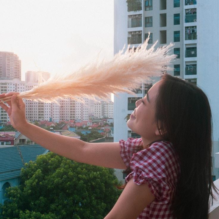 Alex Sharma testimonial